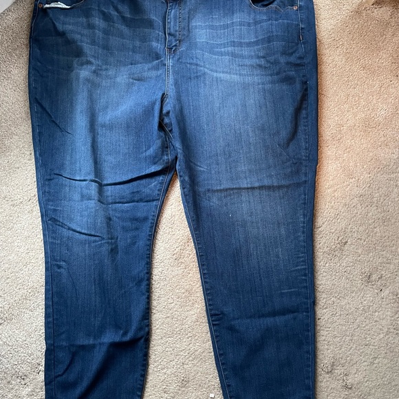 Molly Isadora Leroy Mid Rise Skinny 